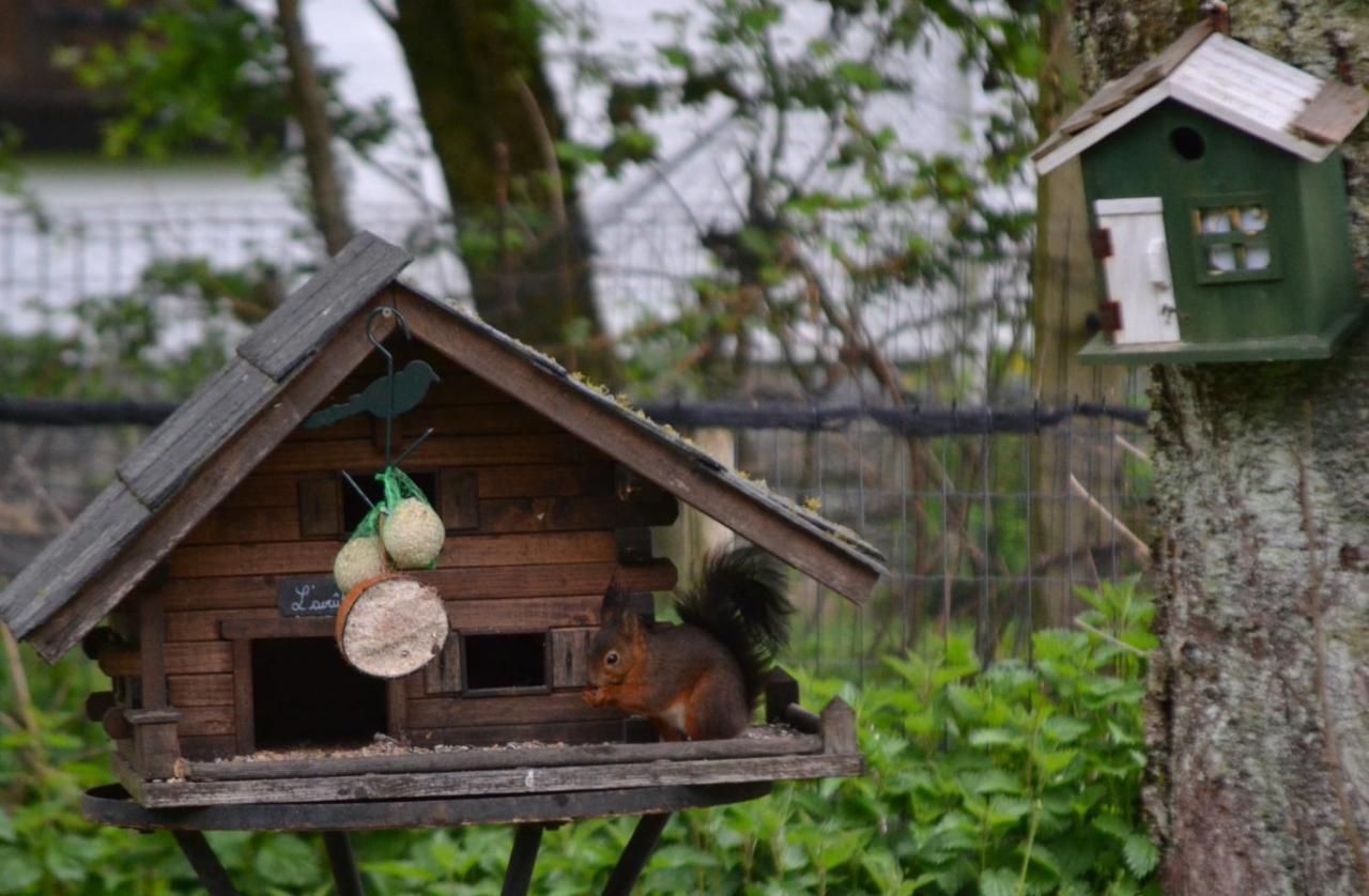 Hotel A La Ferme Du Pere Eugene Malmedy Zewnętrze zdjęcie